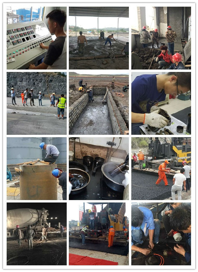 工作中的小鳥(niǎo)